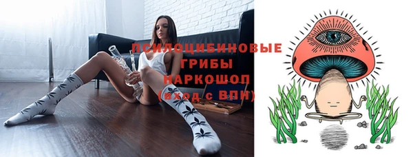 PSILOCYBIN Алексин